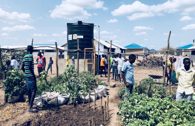 Kitchen garden in Kalobeyei