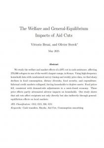 The Welfare and General-Equilibrium Impacts of Aid Cuts Cover Image
